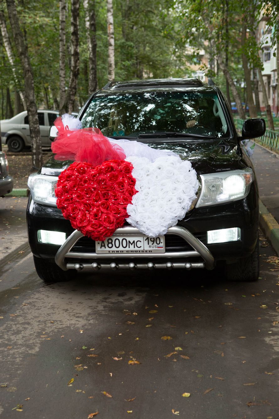 Превосходный черный автомобиль украшенный двумя огромными сердцами из белых и красных роз на бампере, со шлейфом из фатина таких - фото 3148195 PerfectWedding - свадебное агентство