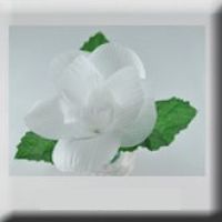 Белая светящаяся роза