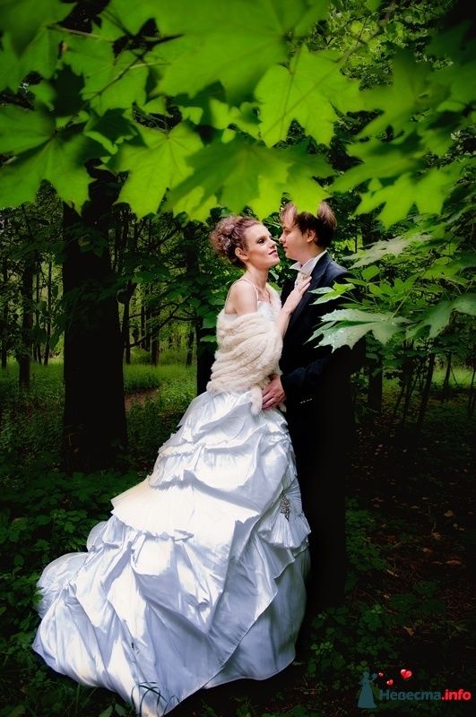 Фото 279076 в коллекции Wedding - Фотограф Наталья Калабухова