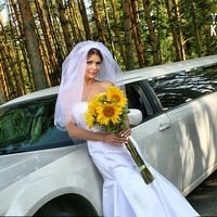 Подсолнухи