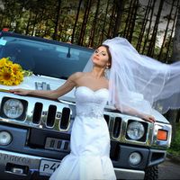 Подсолнухи