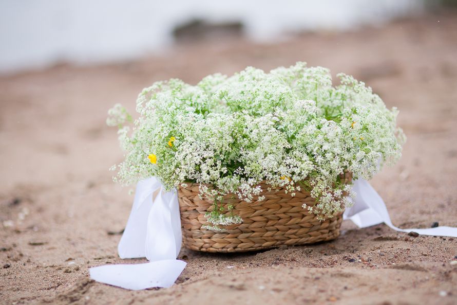 Фото 3733399 в коллекции оформление фотозоны - Студия декора Las Vegas