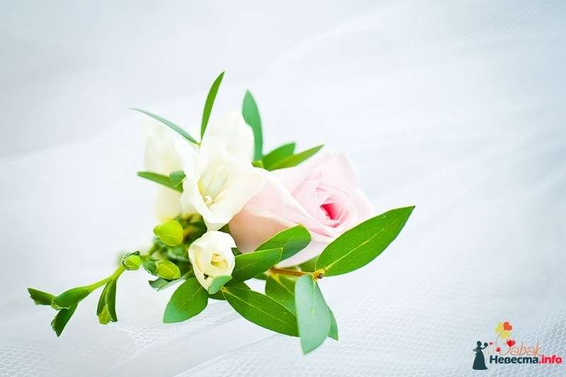 Бутоньерка из розовой розы и белых фрезий с зелеными веточками эвкалипта, на белом фоне стола - фото 468804 Юлия Табак - Фотограф