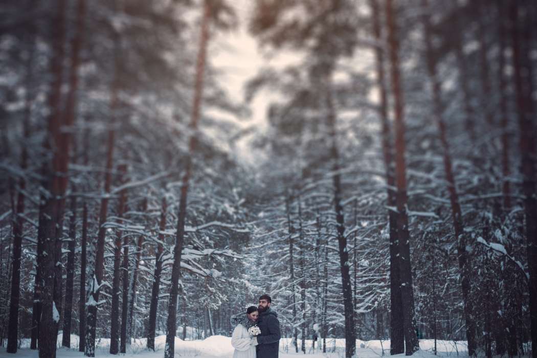 Зимняя свадьба - фото 4336089 Свадебный фотограф Анастасия Кузьменко