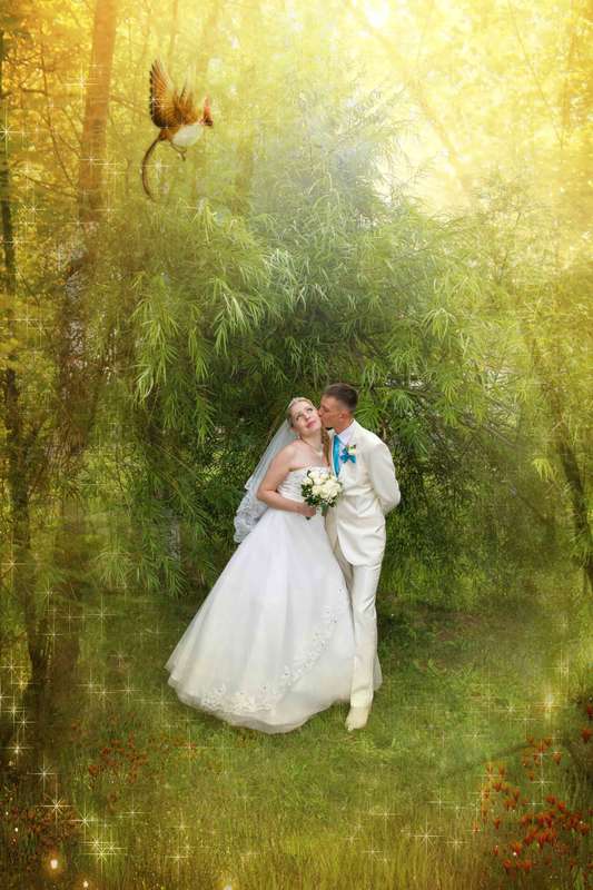Фото 6265703 в коллекции Свадьба 2015 - Видеограф Олег Видов