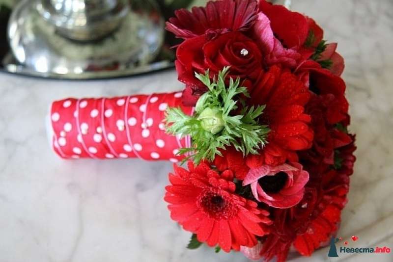 Красный букет из анемонов, гербер и роз номер 9 - фото 411723 Vaffya