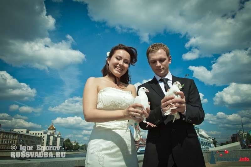 Фото 413390 в коллекции Wedding Foto - Russvadba - фото и видеоуслуги
