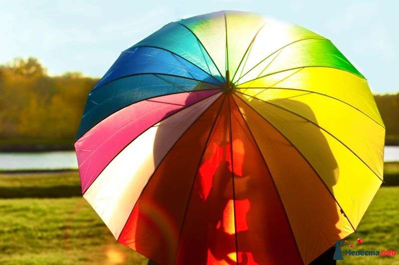 Фотосессия молодоженов на природе за разноцветным зонтом - фото 340529 Светлана Борисова Фотограф