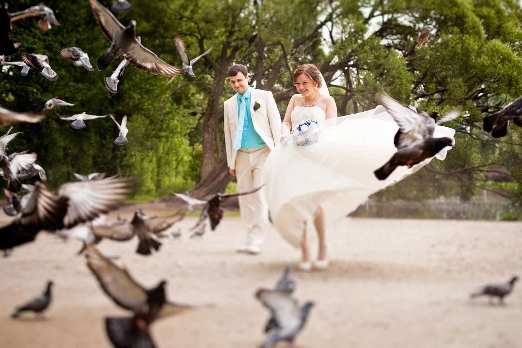 wedding 2013-2014 - фото 4033647 Свадебный фотограф Оксана Пипкина