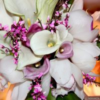 букет невесты с орхидеями, каллами двух сортов и джениcтой от бутик собутий IDEA