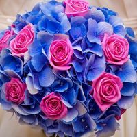 Букет невесты из синих гортензий и розовых роз