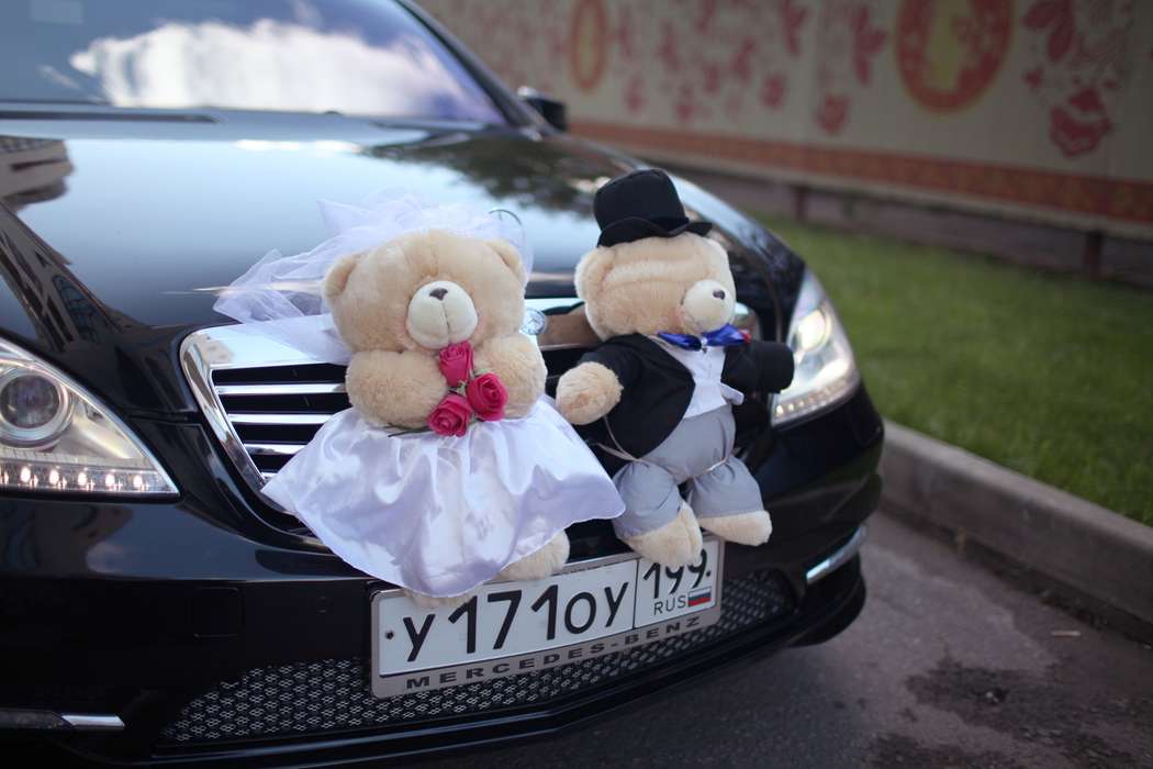 Пара милых медвежат в костюмах жениха и невесты. - фото 616257 Sorcery