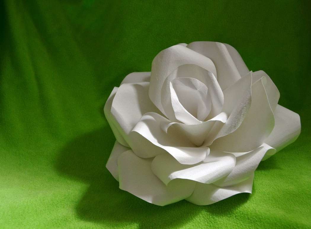 Фото 5088587 в коллекции Портфолио - Студия бумажного декора "Точно цветочно"