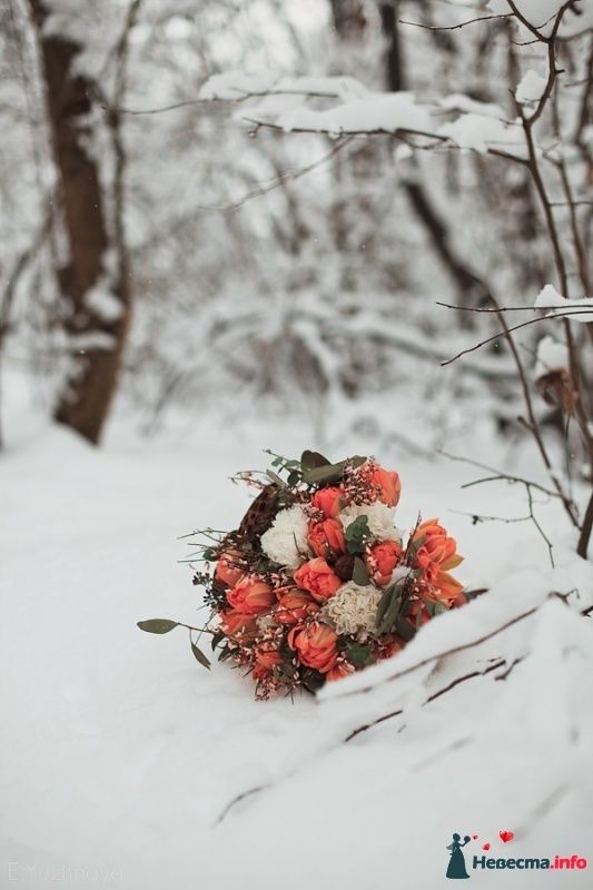 Фото 432786 в коллекции Фотосессия в зимнем лесу! - Евгения Южная - фотограф