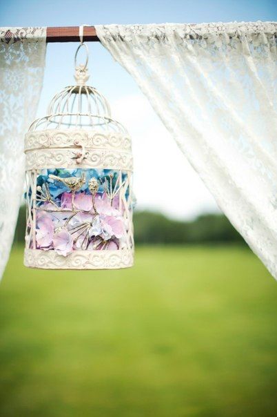 Фото 1187713 в коллекции отчет - yachernika