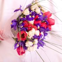 Букет невесты из сиреневых ирисов и красных тюльпанов
