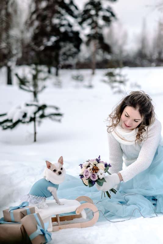 свадьба, выездная регистрация, классическая свадьба, романтик, белый, розовый, невеста, жених, фотограф, зима, зимняя свадьба - фото 17556646 Маслова Виктория - фотограф