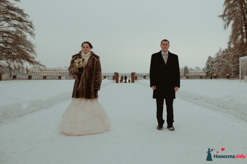 Фото 428912 в коллекции Таня и Дима 25.02.12 - Елена Новожилова - свадебный фотограф