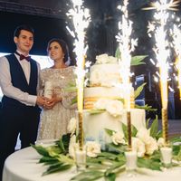 Организация свадьбы + координация в день свадьбы на банкете