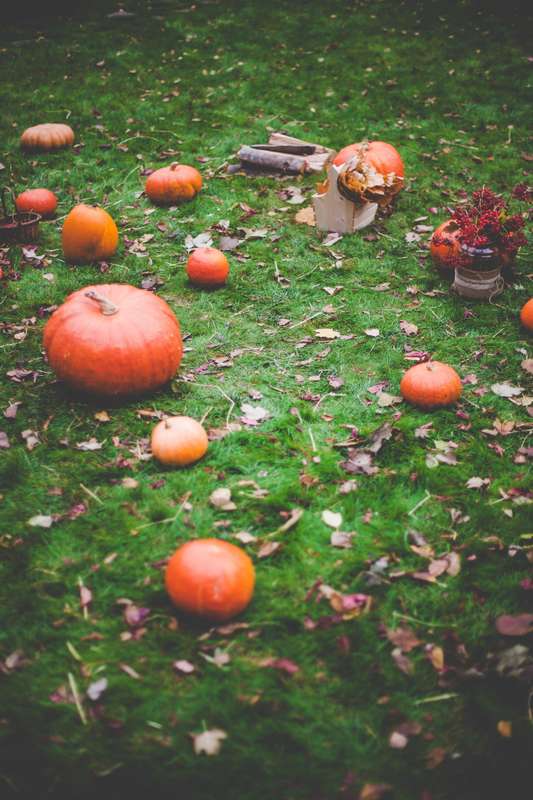 Фото 8040904 в коллекции Осенняя фотозона - "Важный день" - декор и флористика