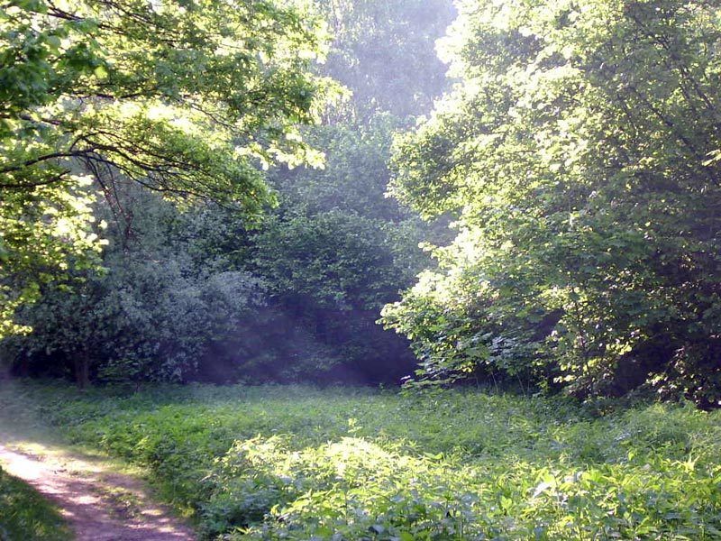 Фото 9169514 в коллекции Моя первая коллекция - Yudina Nastya