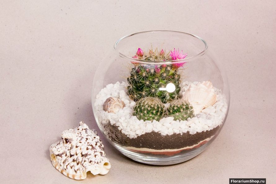 Мини-флорариум «Море», шар 11 см