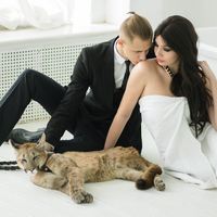 Фотосъемка гостей и молодожен с дикими кошками