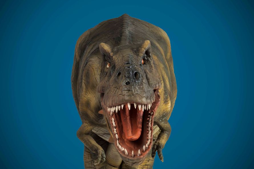 Фото 9614090 в коллекции Доброзавр - Аренда динозавра Доброзавр