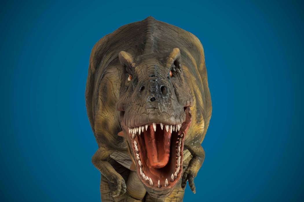 Фото 9614090 в коллекции Доброзавр - Аренда динозавра Доброзавр