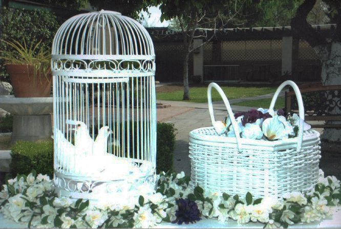 Белоснежные голуби в декоративном вольере