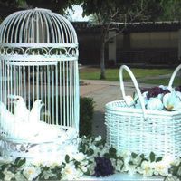 Белоснежные голуби в декоративном вольере