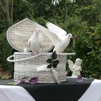Свадебные голуби в корзине