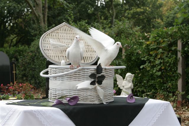 Свадебные голуби в корзине