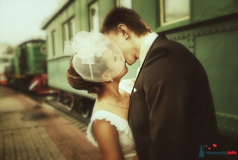 Причёску невесты украсила белая кринолиновая шляпка-вуалетка на ободке - фото 442027 Андрей Кузьмин - свадебный  фотограф