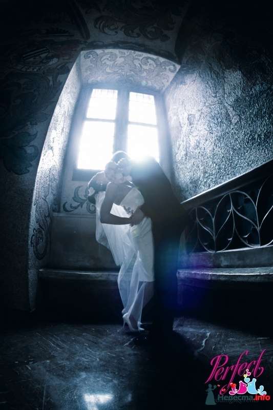 Фото 452236 в коллекции Наши свадьбы - Perfect Weddings and Events - свадьба в Чехии