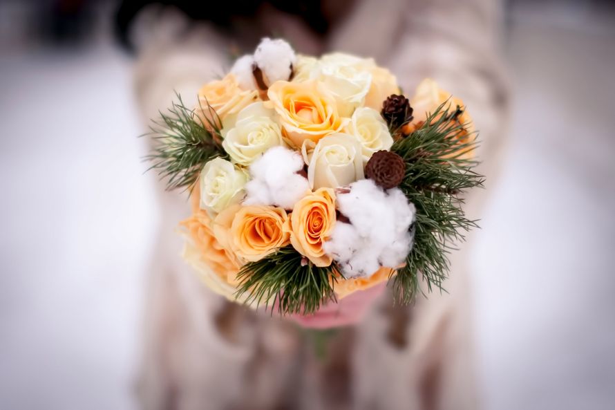 28.01.2017 - фото 13856556 Фотограф Мария Филатова