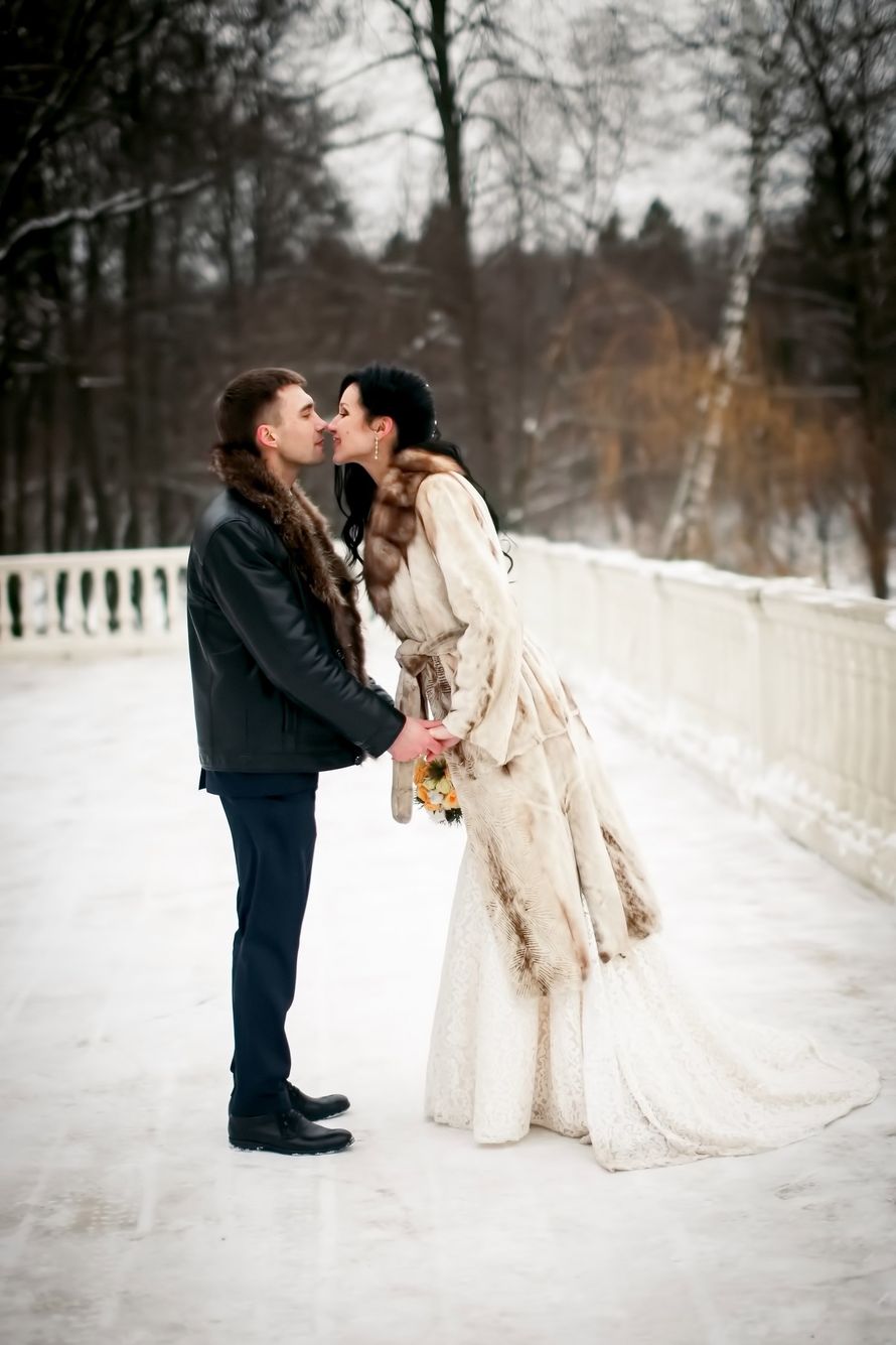 28.01.2017 - фото 13856558 Фотограф Мария Филатова