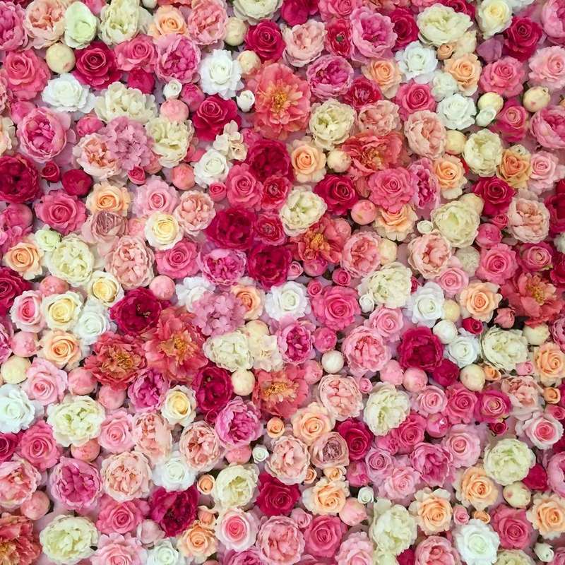 Фото 11111096 в коллекции Шикарная цветочная фотозона в аренду!!! - Флорист-декоратор Олеся Капля