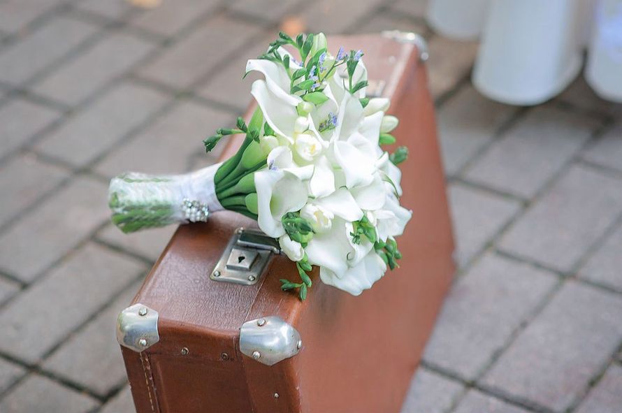 Фото 13505114 в коллекции Сергей и Антонина 18.08.2016 - Фотограф Галина Мещерякова