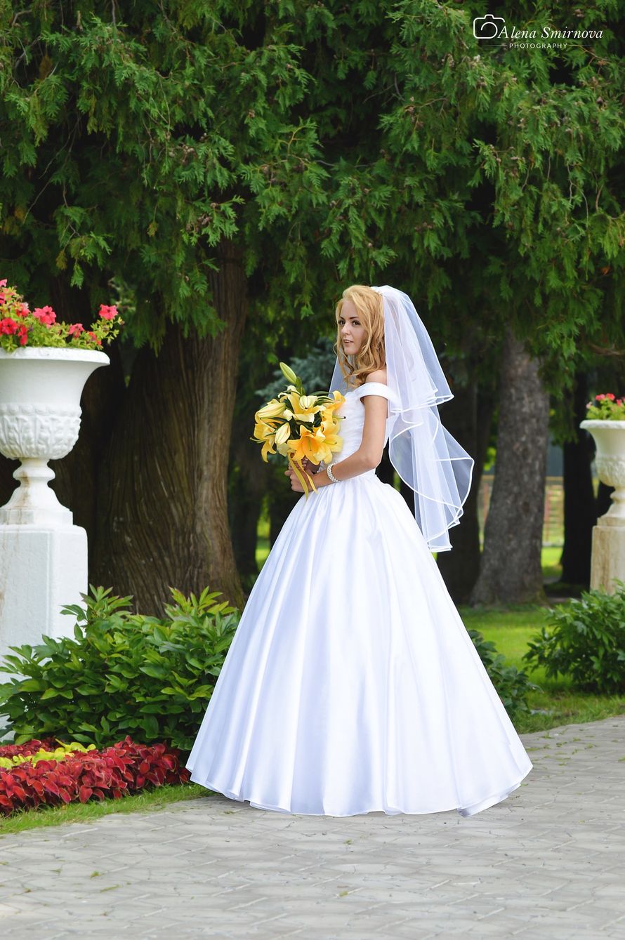 Фото 11862562 в коллекции Wedding (2) - Фотограф Алена Смирнова
