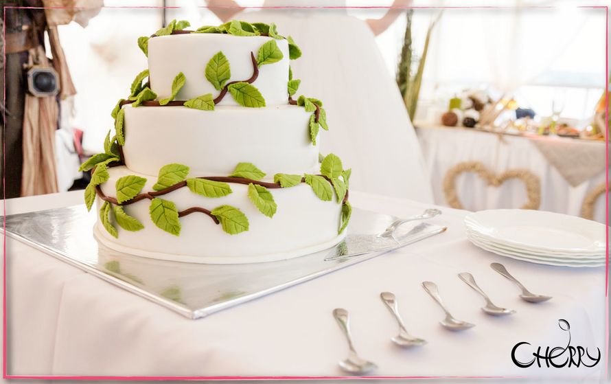 Вкусный торт в экостиле. - фото 12380362 Студия декора "Cherry"