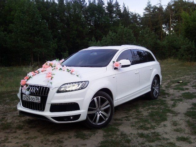 Ауди q7 белая с бантом красным