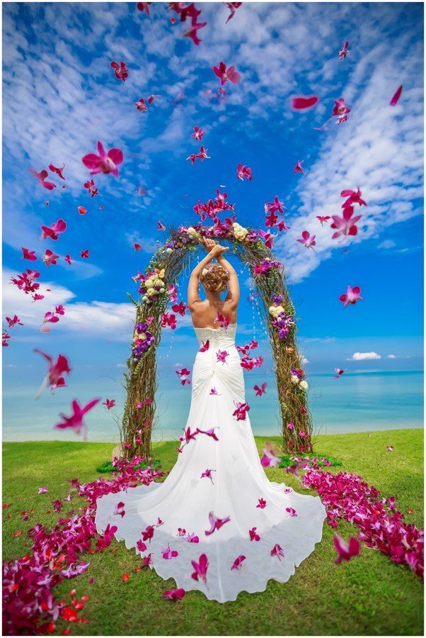 Фото 15171288 в коллекции Анна и Андрей - Свадебная студия Exotic Thai