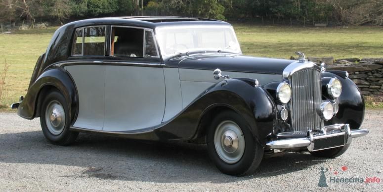 Аренда ретро автомобиля на свадьбу, Black and White Cars - аренда лимузинов - фото 46811 Black and White Cars - аренда лимузинов