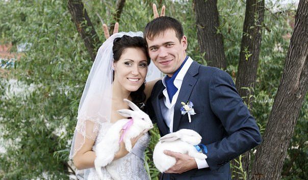 Кролики на свадьбу - фотосессию