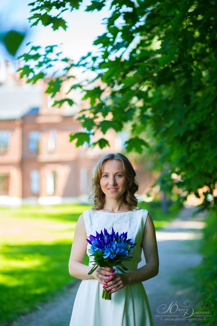 Фото 17694116 в коллекции Портфолио - Фотограф Юмин Дмитрий