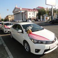 Аренда свадебного кортежа Toyota Corolla