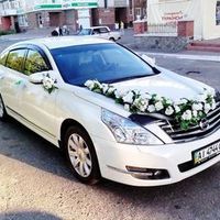 141 Nissan Teana белая в аренду