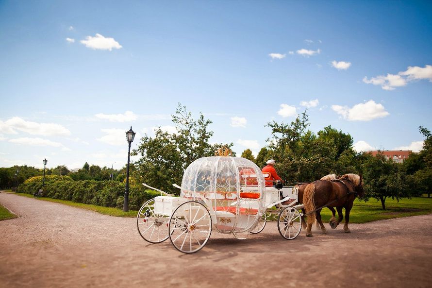 Сказочная прозрачная карета в виде тыквы запряженная парой лошадей и с кучером в красном камзоле. - фото 1725672 Nastiaguu