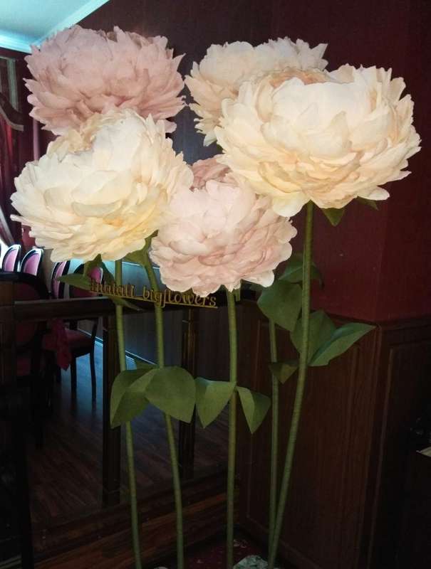 Фото 18371436 в коллекции Большие цветы - Ростовые цветы от Садовской Натальи